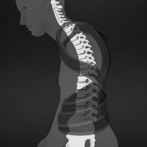 Adjustable Unisex Back Support Brace
