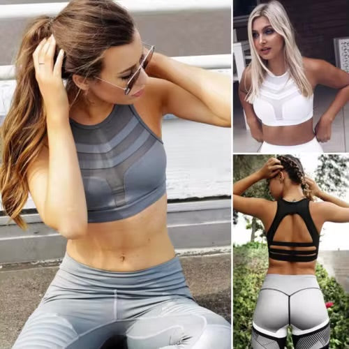 Designer Meshwork Sports Bra