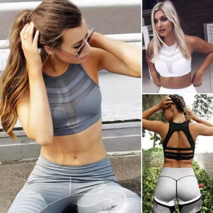 Designer Meshwork Sports Bra